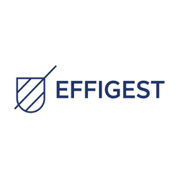 Groupe Effigest